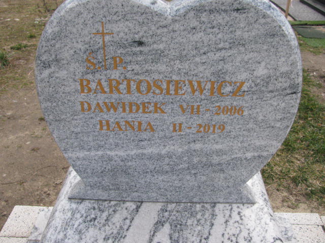 Dawid Bartosiewicz Młochów - Grobonet - Wyszukiwarka osób pochowanych